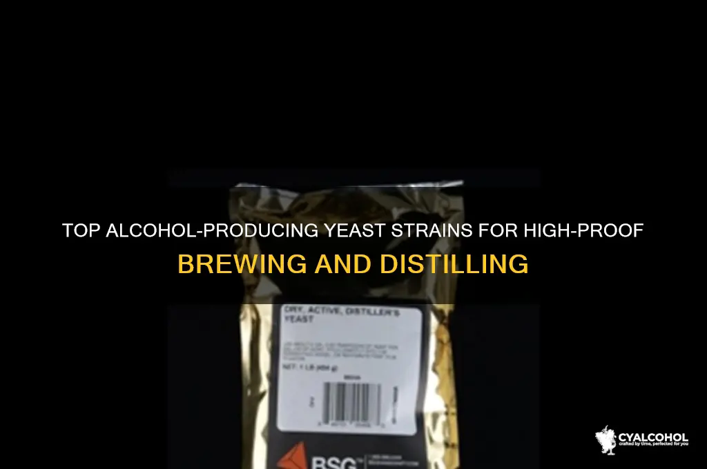 what yeast produces the most alcohol