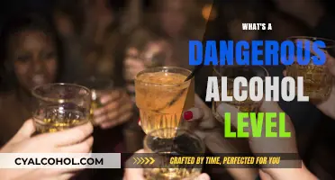 Understanding Dangerous Alcohol Levels: Risks, Symptoms, and Prevention Tips