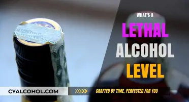Understanding Lethal Alcohol Levels: Risks, Symptoms, and Prevention Tips