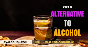 Exploring Sober Socializing: Healthy Alternatives to Alcohol for a Balanced Life