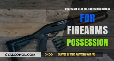 Firearms and Alcohol: Michigan's Possession Laws