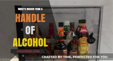 Beyond the Handle: Exploring Larger Alcohol Bottle Sizes and Uses