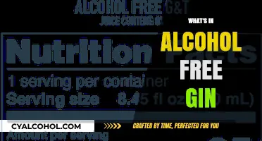Exploring Alcohol-Free Gin: Ingredients, Flavors, and Crafting Secrets Revealed