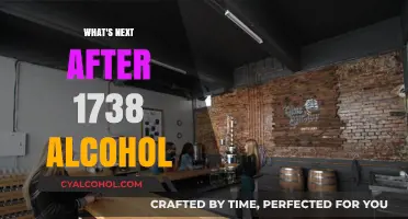 Exploring the Future of Craft Spirits Beyond 1738 Alcohol