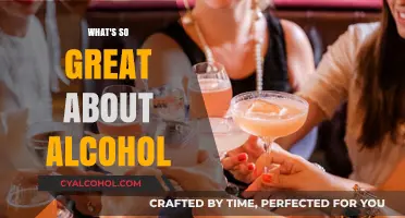 Exploring the Allure: Why Alcohol Captivates and Connects Us