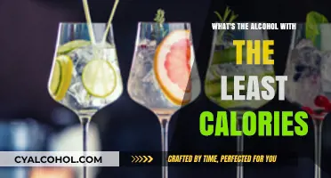 Low-Calorie Alcohol Guide: Discover the Lightest Drink Options