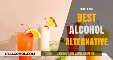 Discover the Perfect Alcohol Alternative for a Healthier Lifestyle