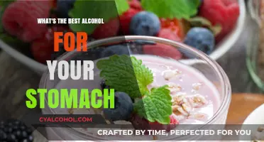 Stomach-Friendly Spirits: Discover the Best Alcohol for Your Gut