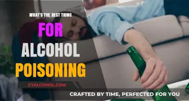 Effective Emergency Steps to Treat Alcohol Poisoning Safely and Quickly