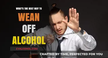Kicking Alcohol: Strategies for a Successful Sobriety Journey