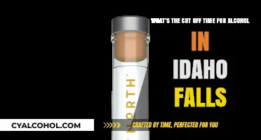 Alcohol Curfew in Idaho Falls: Know the Cut-off Time