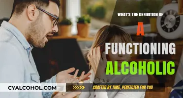 Understanding Functioning Alcoholics: Definition, Signs, and Hidden Struggles