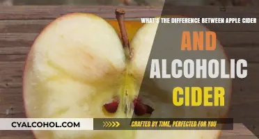 Apple Cider vs Alcoholic Cider: What's the Difference?