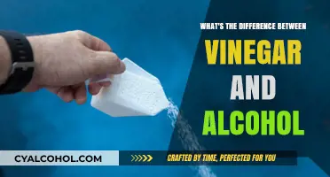 Vinegar vs. Alcohol: Understanding the Key Differences and Uses