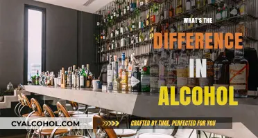 Understanding Alcohol Varieties: Key Differences in Types and Effects