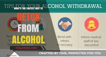 Rapid Alcohol Detox: The Fastest Way to Recover