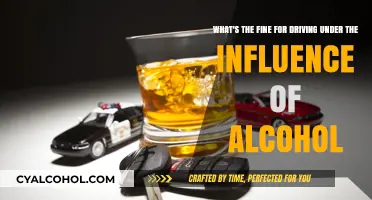 DUI Penalties: Fines and Beyond