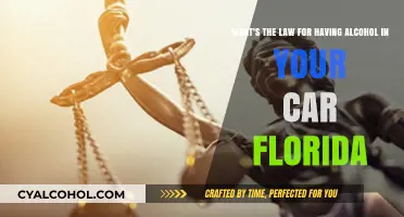 Alcohol in Your Car: Florida's Law