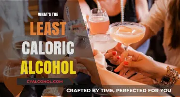 Low-Calorie Alcohol Options: Discover the Lightest Drinks for Your Diet