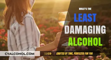 Exploring Healthier Alcohol Choices: Which Drinks Cause the Least Damage?