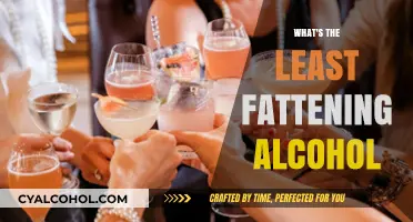 Low-Calorie Alcohol Options: What’s the Least Fattening Drink?
