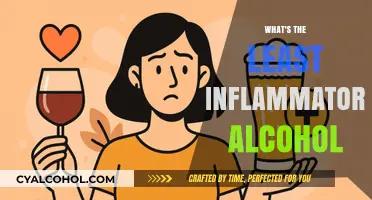 Choosing Wisely: The Least Inflammatory Alcohol Options for Health-Conscious Drinkers