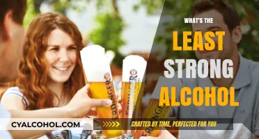 Exploring the Mildest Alcoholic Beverages: What’s the Least Strong Option?