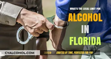 Florida's Legal Alcohol Limit: What You Need to Know