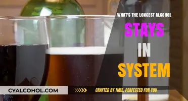How Long Does Alcohol Remain Detectable in Your Body?