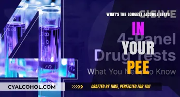 Alcohol in Your Pee: How Long Does it Stay?