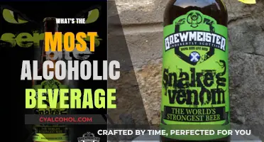 Exploring the World's Strongest Alcoholic Beverages: A Potent Guide