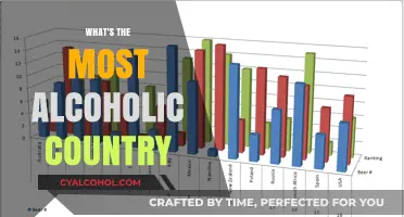 Global Booze Battle: Which Country Tops Alcohol Consumption Charts?