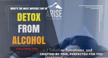 The Toughest Day of Alcohol Detox: When Cravings Peak