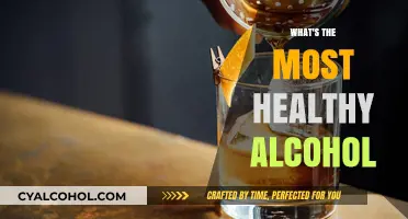 Healthiest Alcohol Choices: Balancing Enjoyment with Wellness Benefits