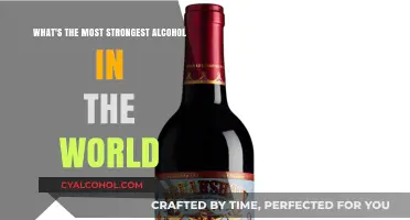 Exploring the Strongest Alcoholic Drinks on Earth