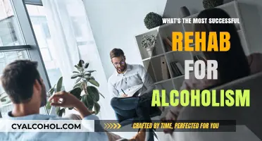 Effective Alcoholism Rehab: Uncovering the Most Successful Treatment Approaches