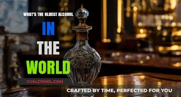 Unveiling the Ancient Origins of the World's Oldest Alcoholic Beverage