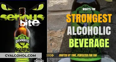 Unveiling the World's Most Potent Alcoholic Beverages: A Spirited Guide