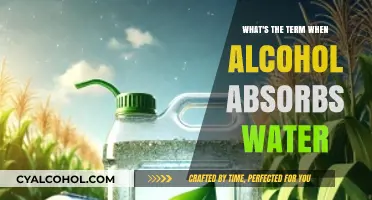 Understanding the Science: How Alcohol Absorbs Water – Key Term Explained
