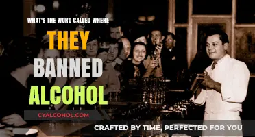 Prohibition: A Sobering Time in History