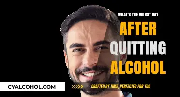 The Darkest Day: Navigating the Toughest 24 Hours Post-Alcohol