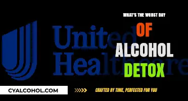 The Darkest Day: Navigating the Peak of Alcohol Detox Hell