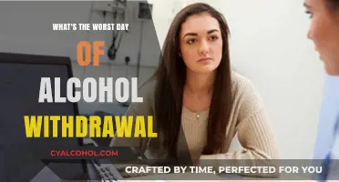 The Darkest Day: Navigating the Peak of Alcohol Withdrawal Symptoms