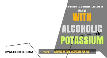 Alcoholic Potassium Treated with 3-Bromo-2,2-Dimethylbutane: What Happens?