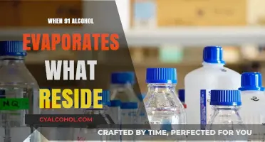 What Remains When 91% Alcohol Evaporates: Residue Explained