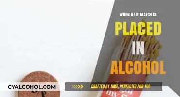 Flammable Reactions: What Happens When Alcohol Meets a Lit Match?