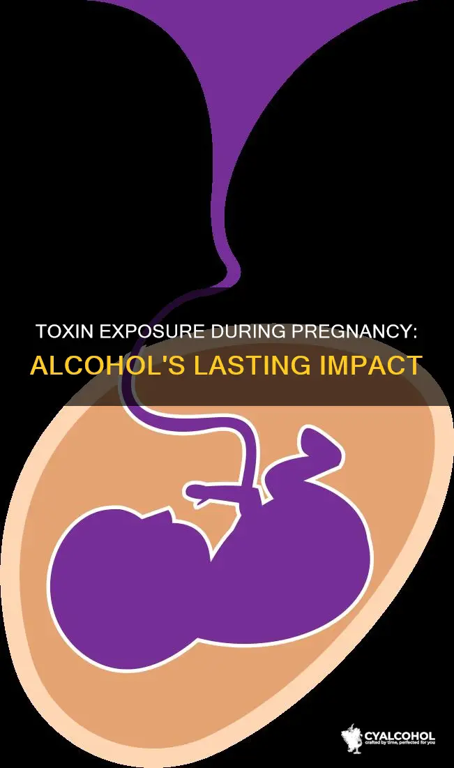 when a pregnant woman ingests toxins such as alcohol