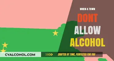 Dry Towns: Life Without Alcohol in Prohibition Communities