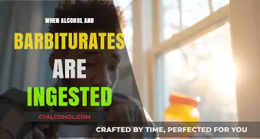 Deadly Mix: Alcohol and Barbiturates' Risks and Consequences Explained