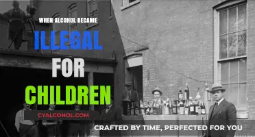 When Alcohol Became Off-Limits: The History of Prohibition for Minors
